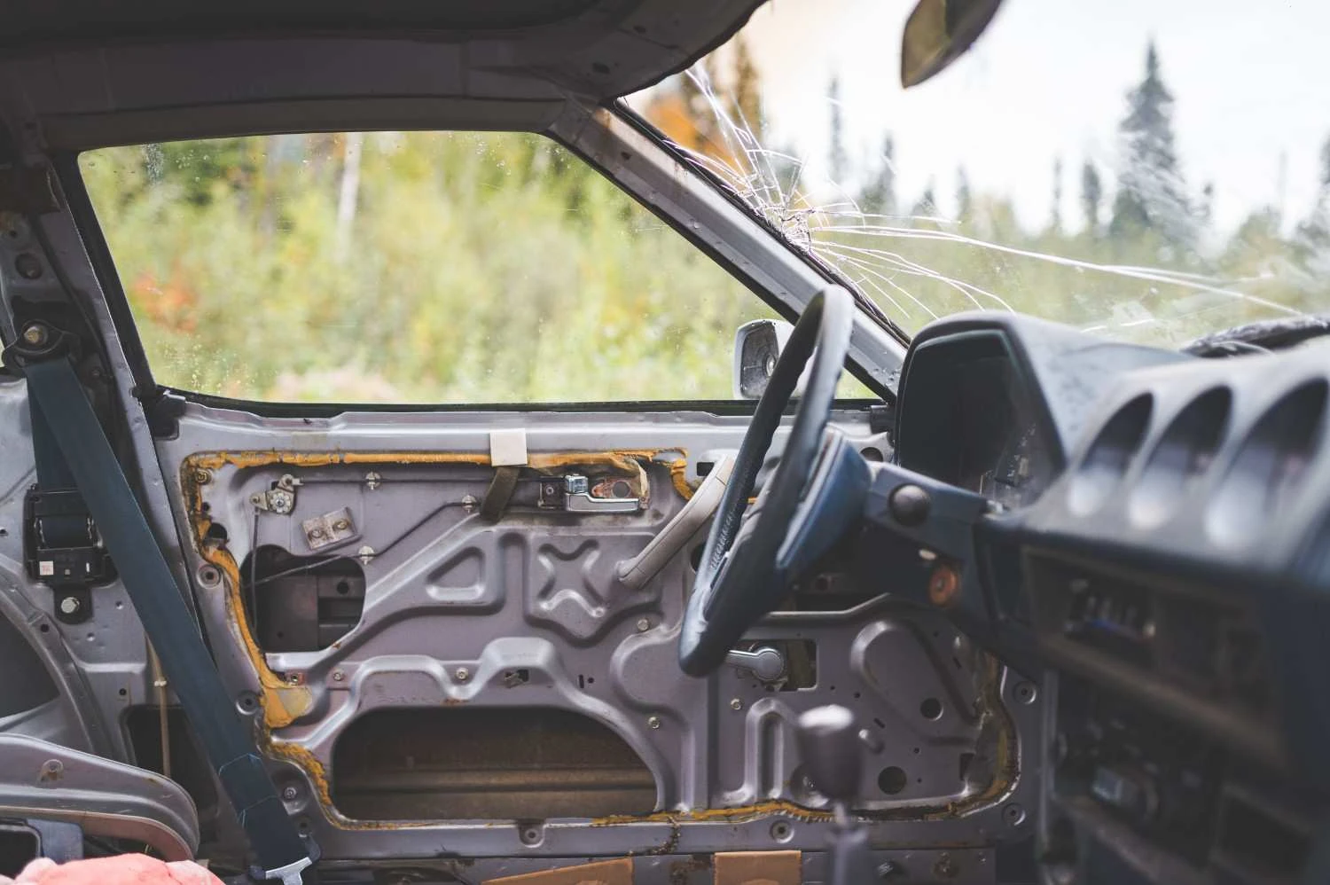 World Auto Body