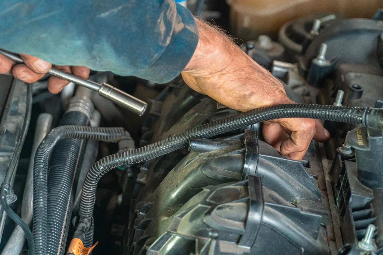World Auto Body
